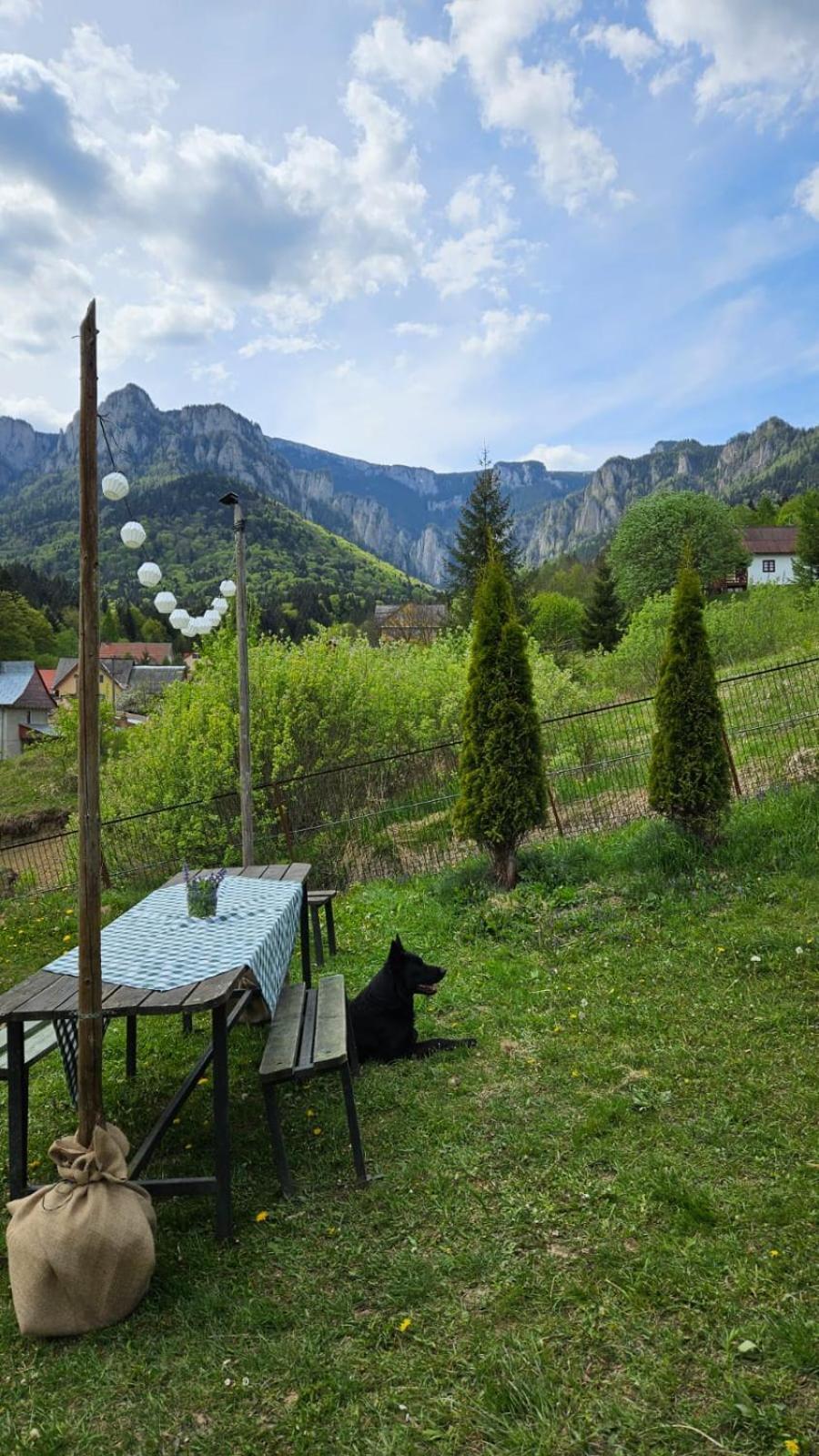 Guest house Pensiunea Bia Papadia Bicaz