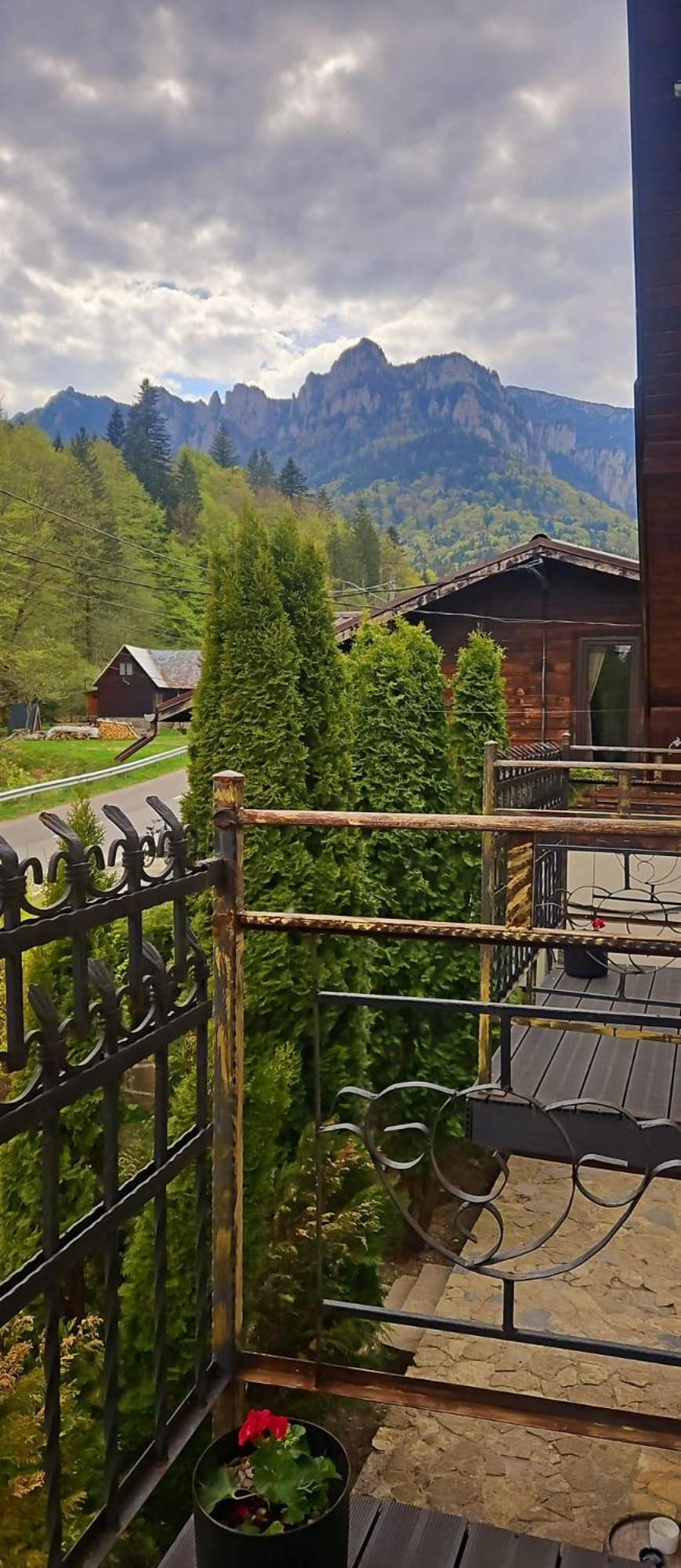 Pensiunea Bia Papadia Guest house 3*