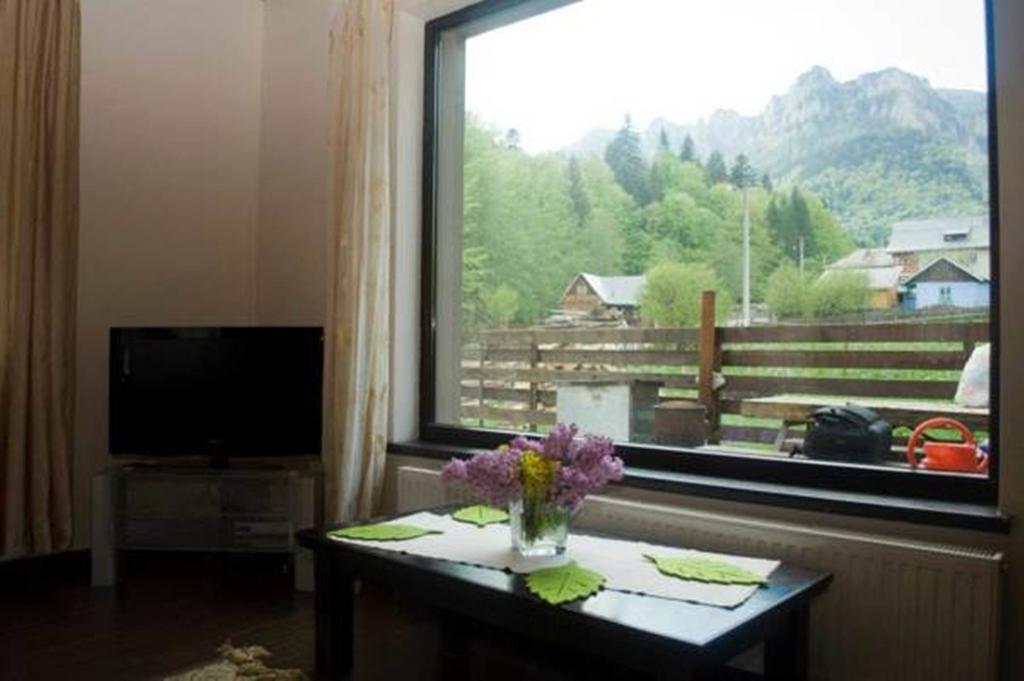 Pensiunea Bia Papadia Guest house Bicaz