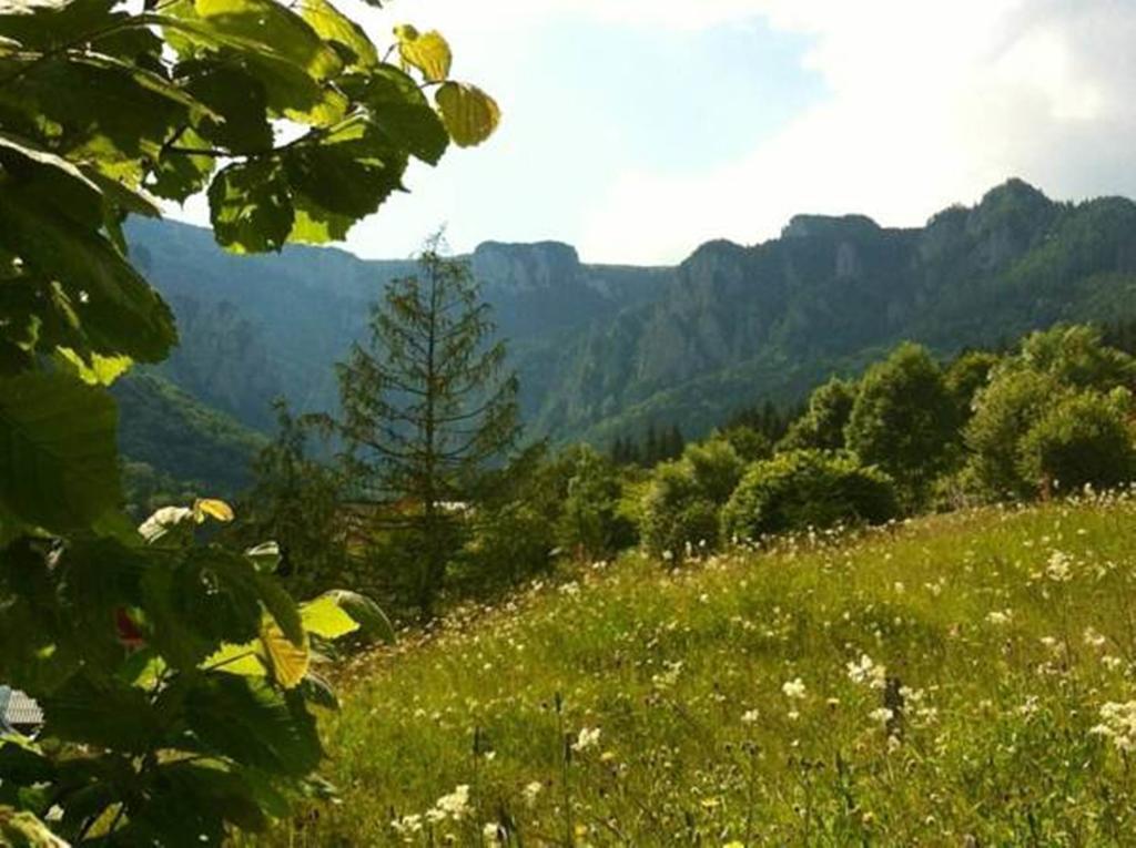 Pensiunea Bia Papadia Pensiune 3*