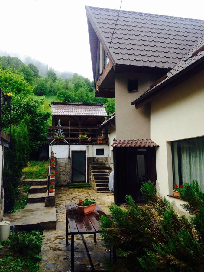 Pensiunea Bia Papadia Guest house Bicaz