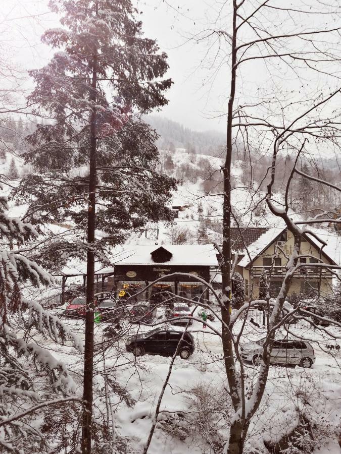 Pensiunea Bia Papadia Guest house Bicaz
